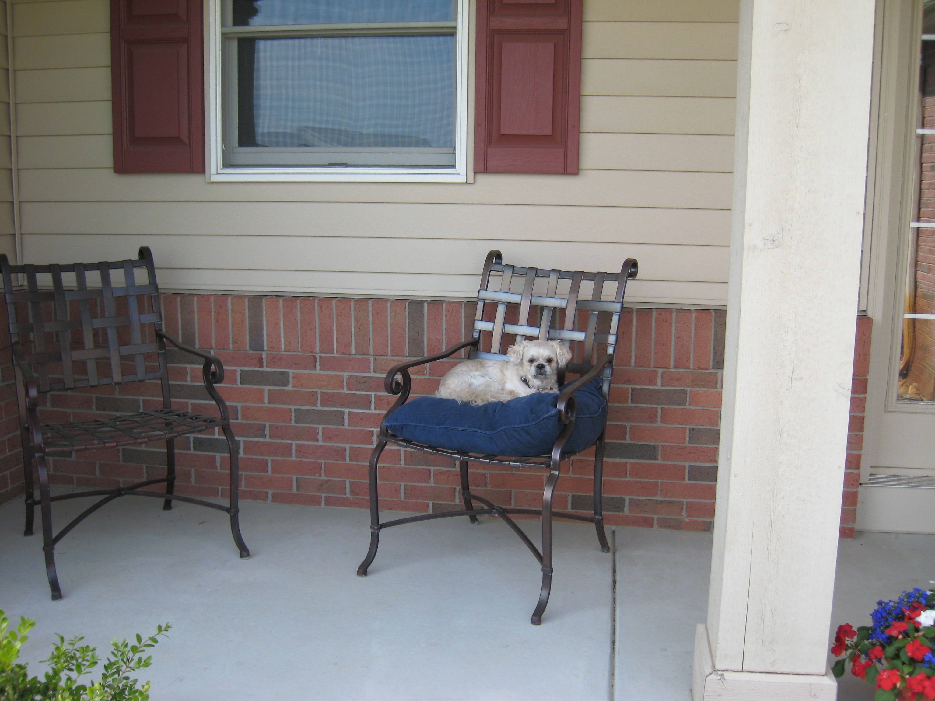 berkeley on the porch